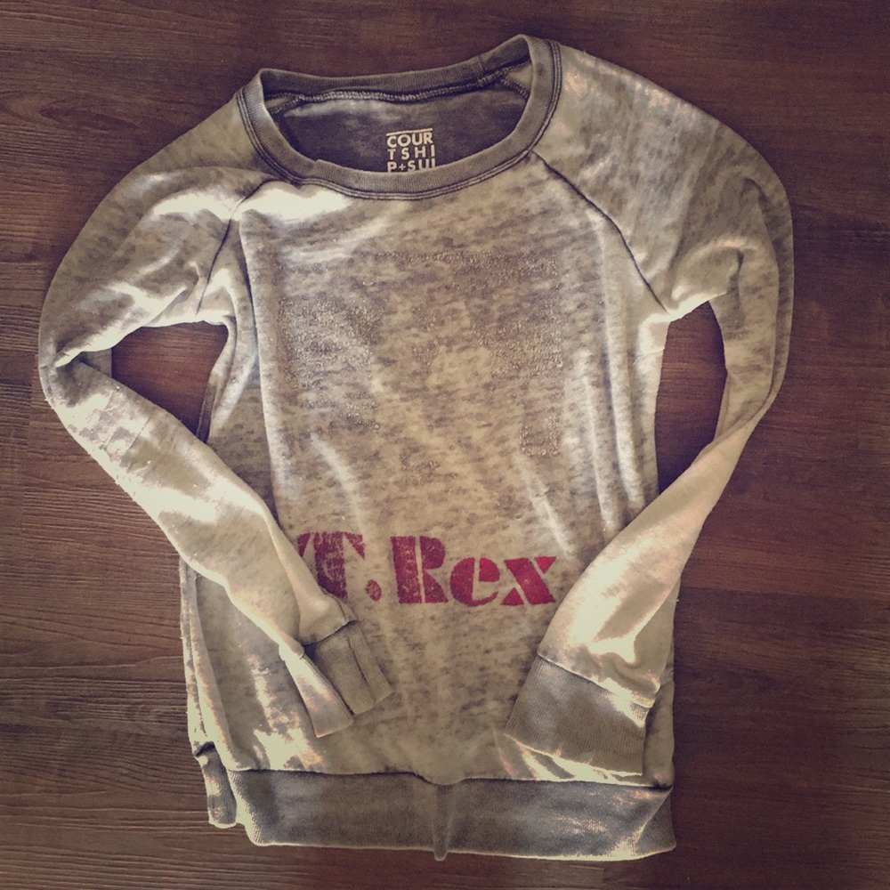 Burnout Sweatshirt T Rex